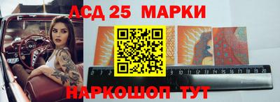 прущие грибы Будённовск