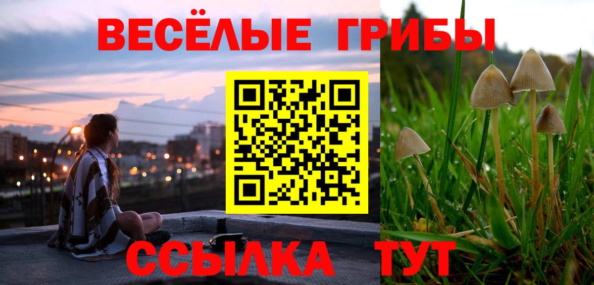 Псилоцибиновые грибы мухоморы Янаул